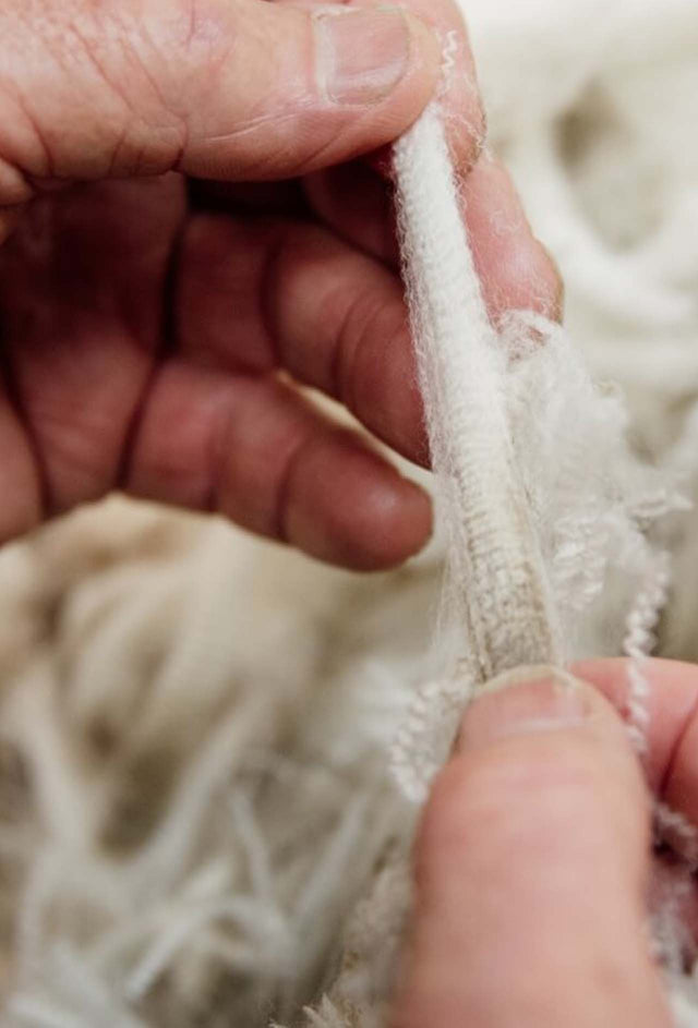 BRINGING REGENERATIVE FARMING STANDARDS TO WOOL BASE LAYERS WITH ZQRX